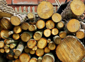 What is Seasoned Firewood Image - Harrisonburg VA - Old Dominion Chimneys