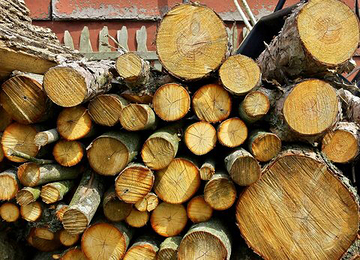 What is Seasoned Firewood Image – Harrisonburg VA – Old Dominion Chimneys