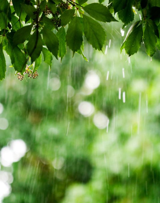 Preventing Water Damage to Your Chimney Image – Harrisonburg VA – Old Dominion Chimneys